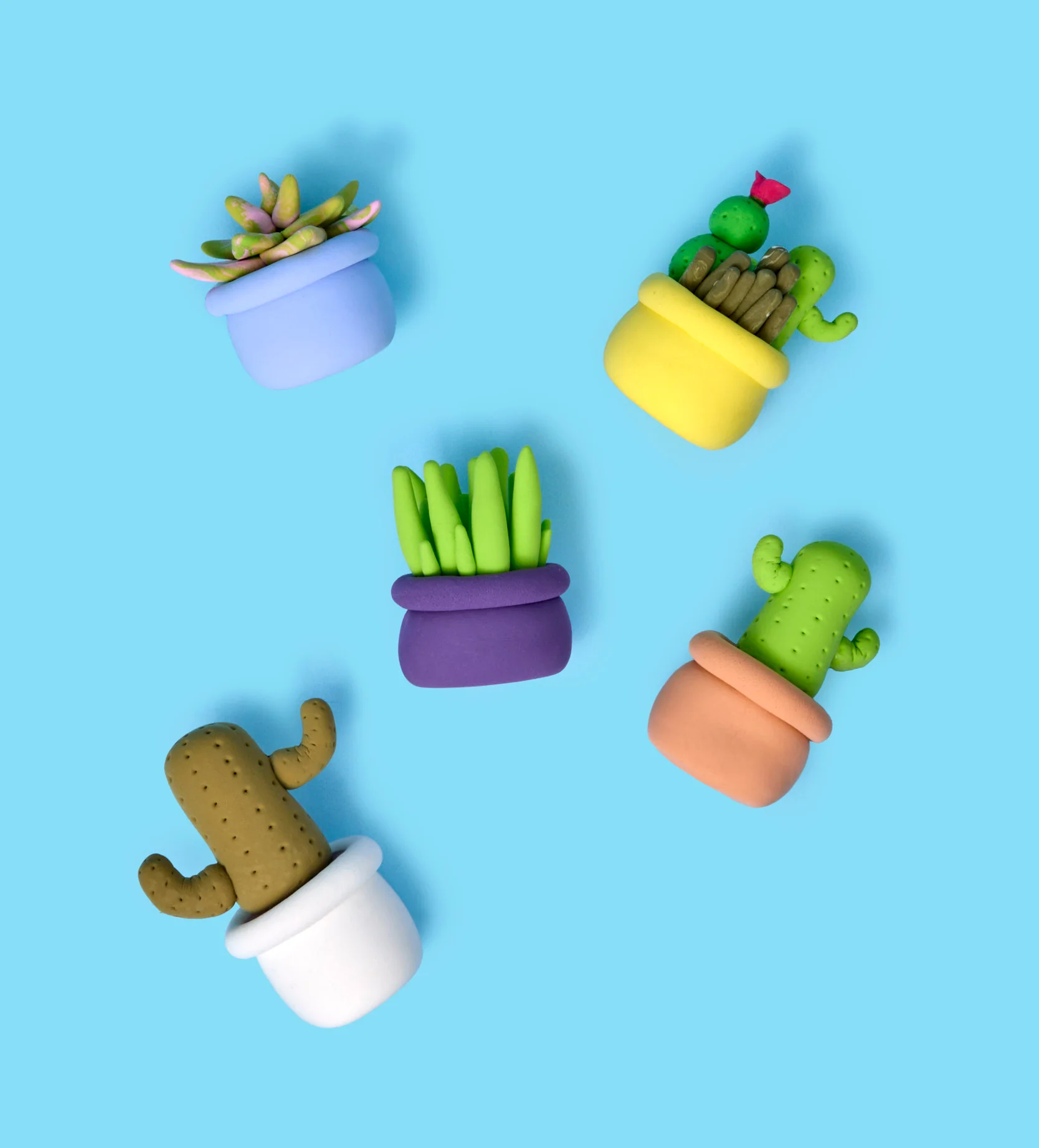 Buds & Blooms: Cactus - Image 12