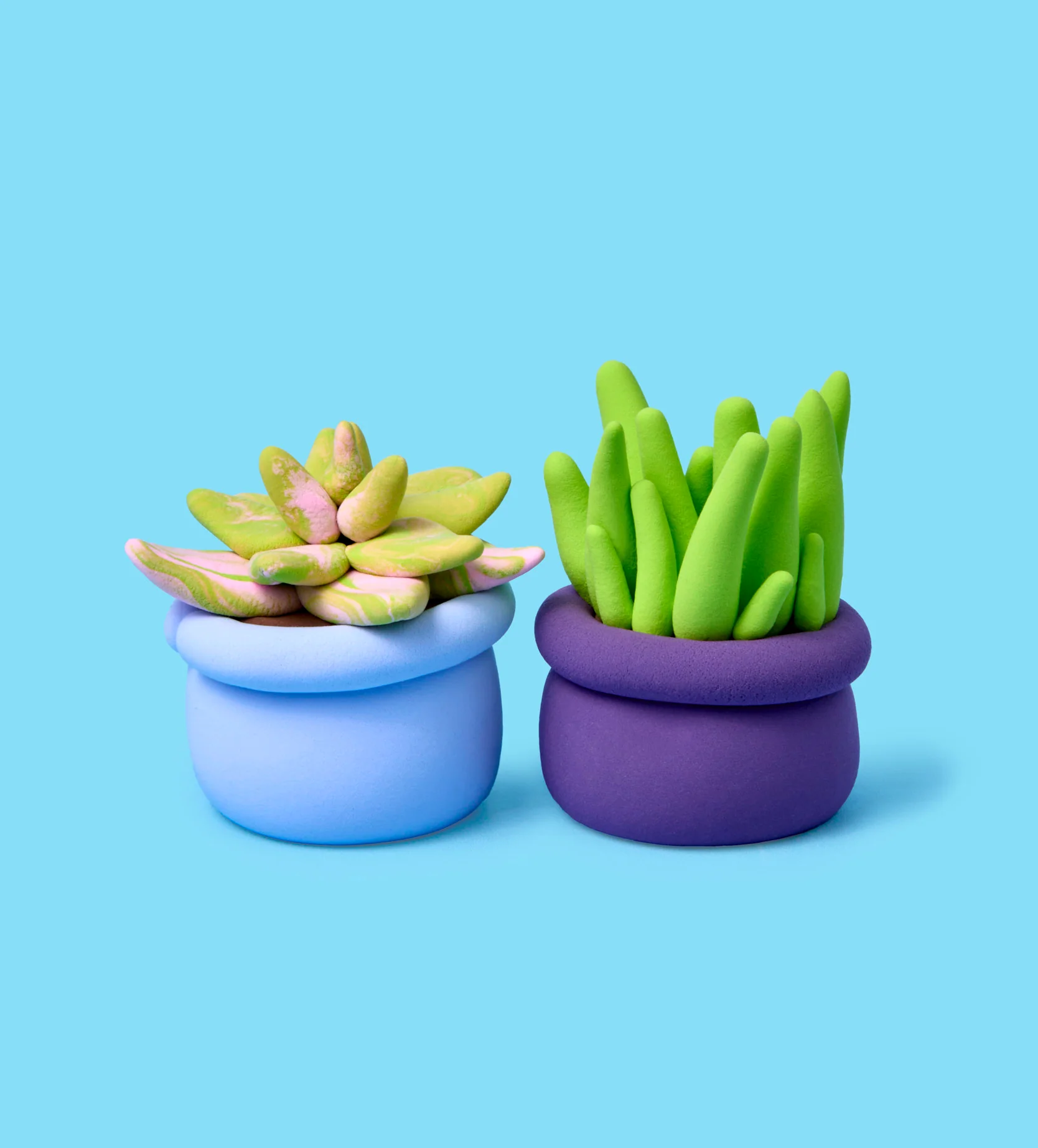 Buds & Blooms: Succulents - Image 7