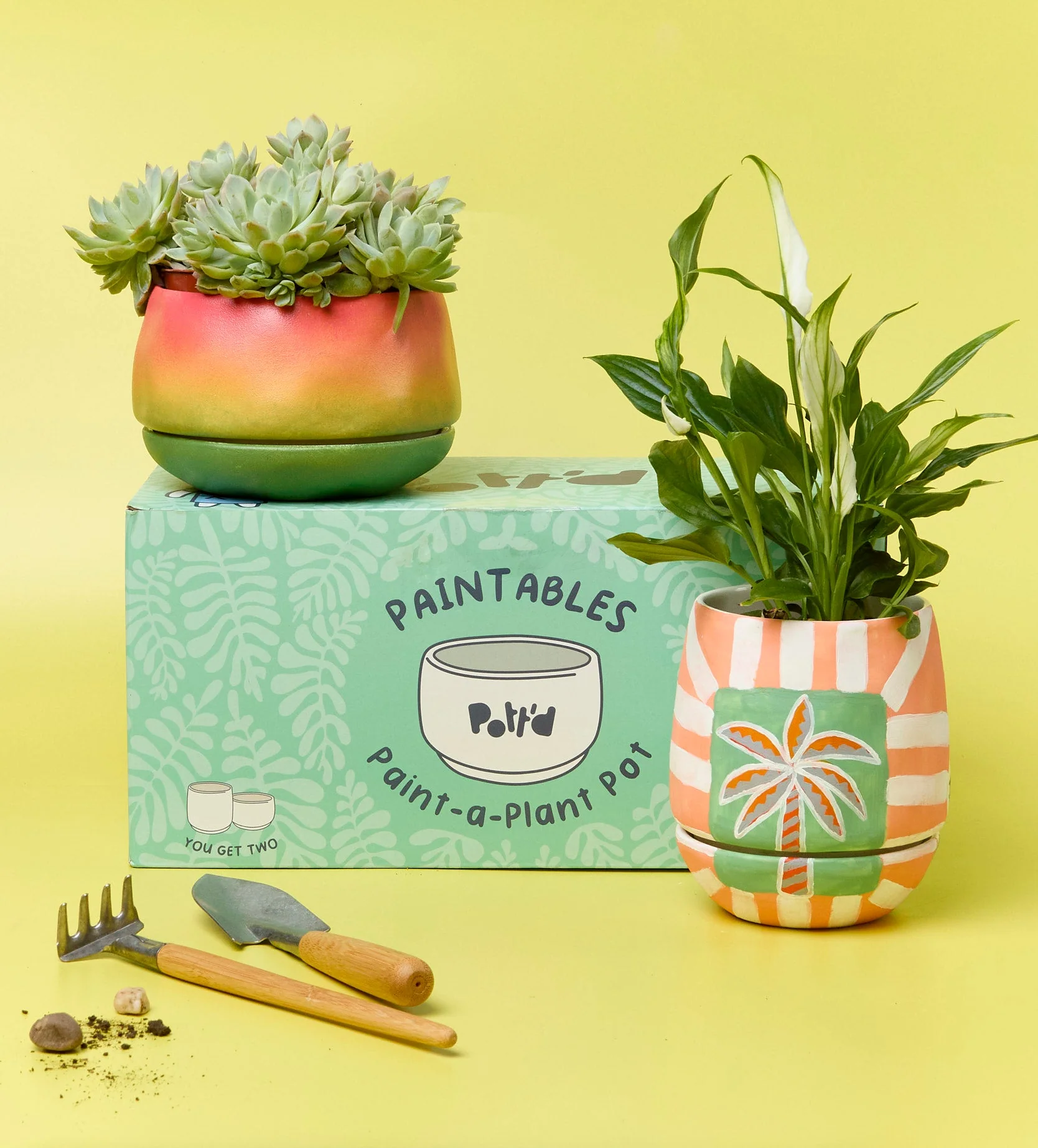 Paint-a-Plant Pot - Image 9