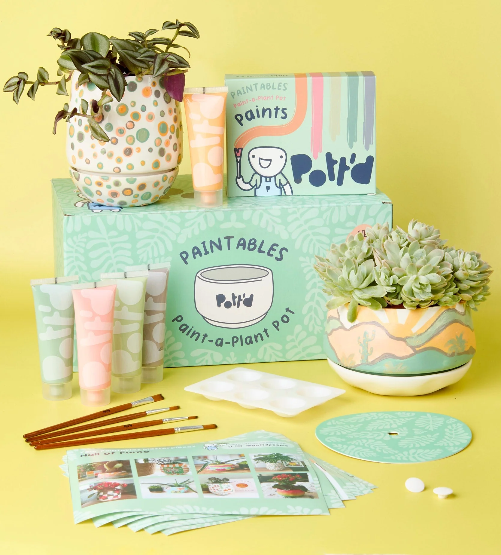 Paintables Mug, Vase & Plant Pot Bundle - Image 10
