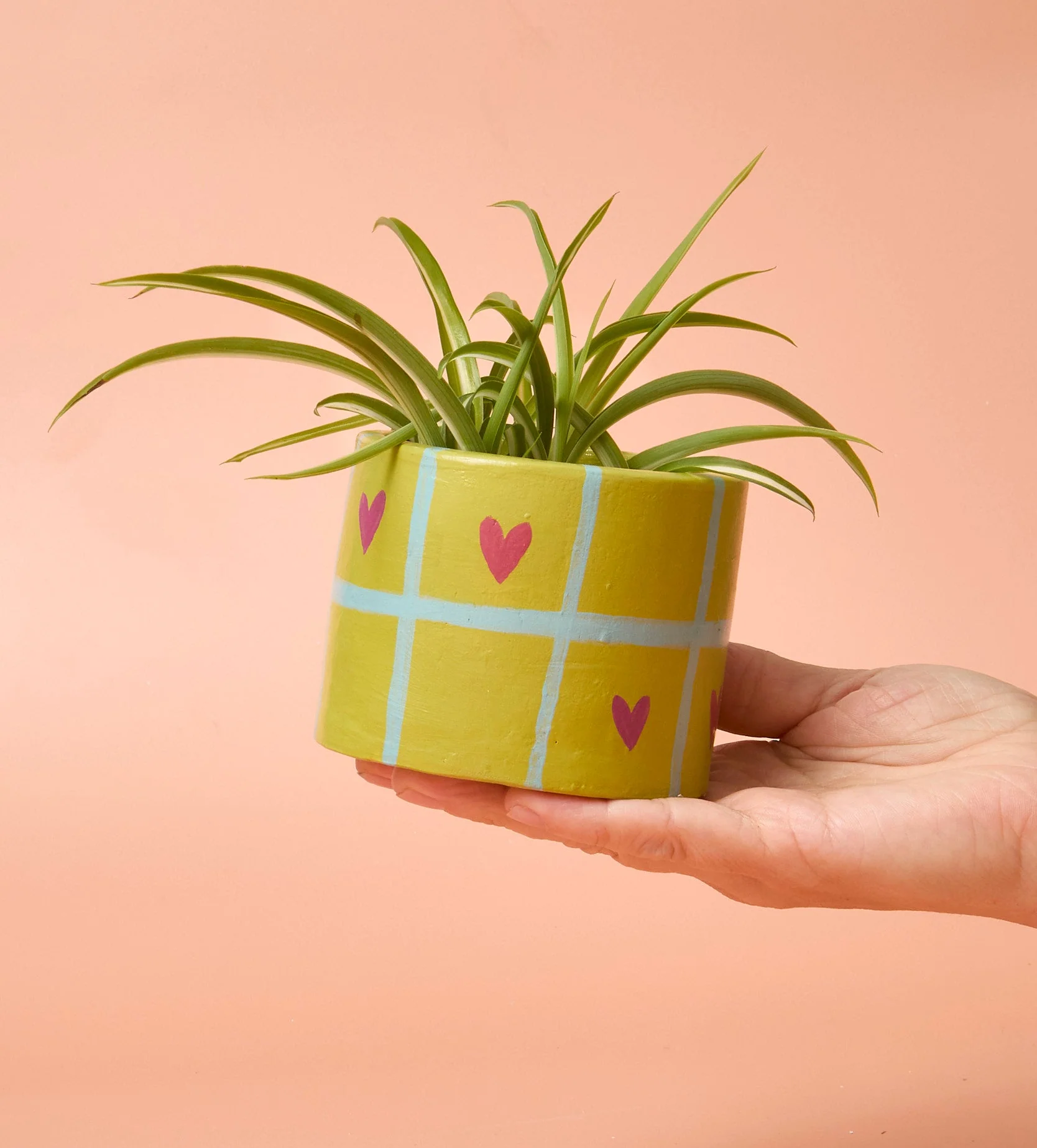 Home Pottery Kit - Image 136